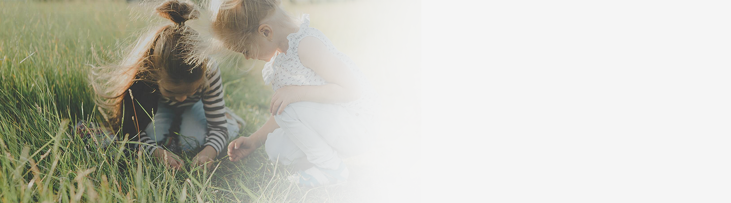 助力耕地質量保護