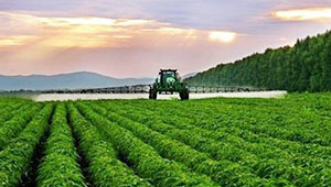 甘肅全力推動現代種業轉型升級