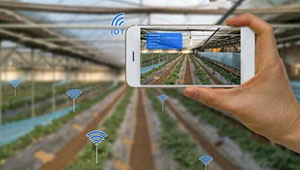 實施6項工程 河北農業產業數字化進程提速