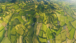  四川將開展全域土地綜合整治試點