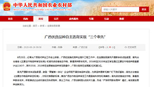 廣西優(yōu)良品種自主選育實(shí)現(xiàn)“三個(gè)率先”
