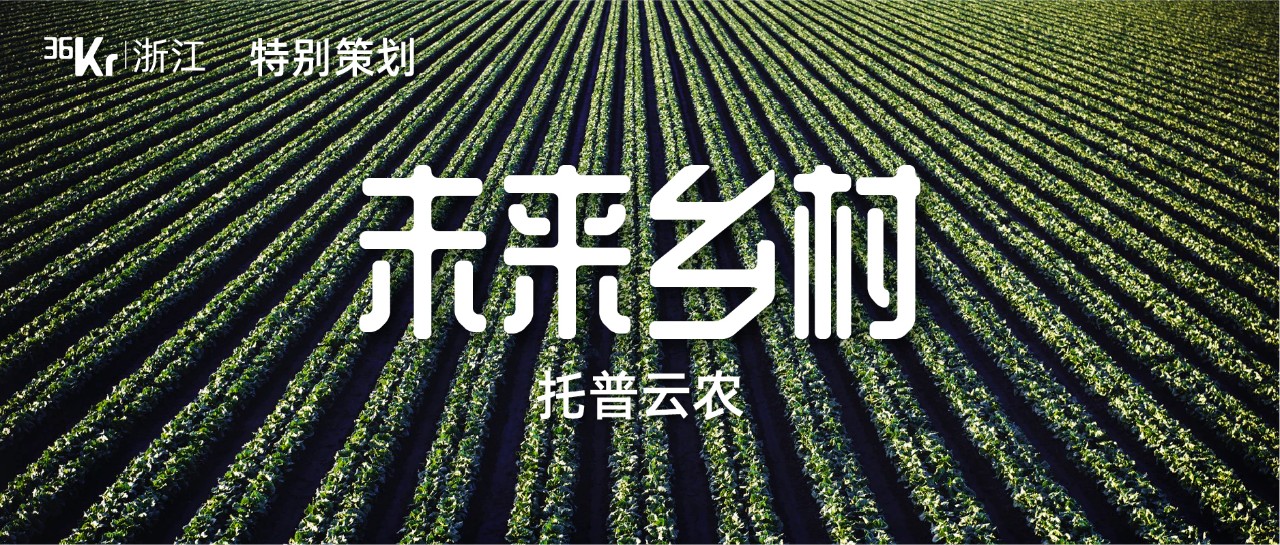 智慧農業“原住民”托普云農，破解農業大數據的“小”問題｜未來鄉村