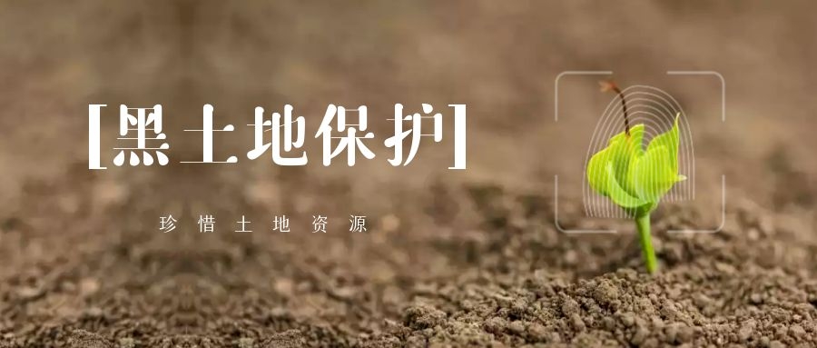 吉林：走出一條開發(fā)與保護并舉的黑土地治本之路