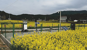 病蟲害監(jiān)測點(diǎn)