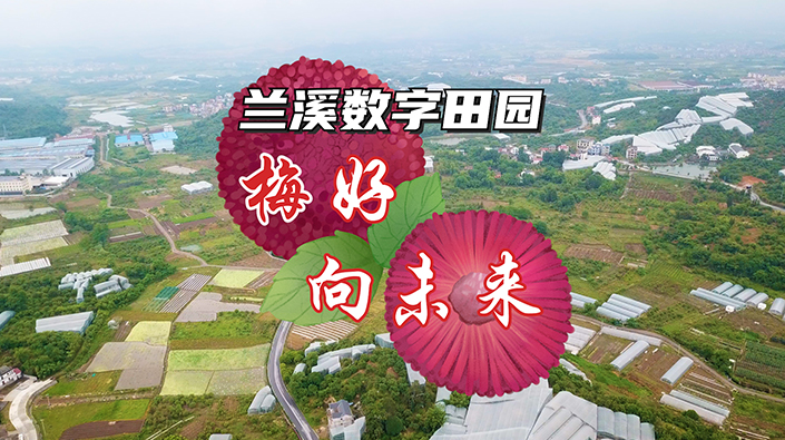 蘭溪數(shù)字田園——梅好，向未來！