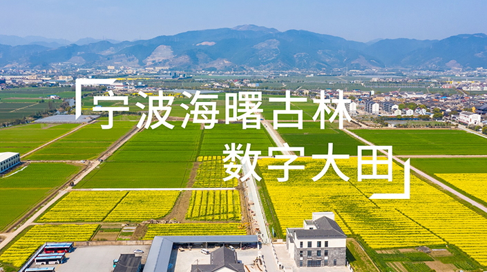 媒體聚焦寧波海曙古林數字大田
