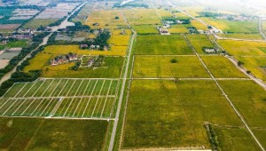 高標案例丨托普云農助力善璉鎮農田“數智”升級