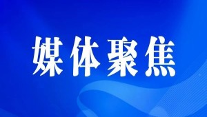 央視、人民網(wǎng)等權(quán)威媒體聚焦西湖龍井：托普云農(nóng)“黑科技”點亮千年茶香智變之路