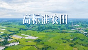 “技”“管”融合、三位一體，看托普云農(nóng)如何助力高標(biāo)準(zhǔn)農(nóng)田建設(shè)
