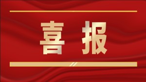 喜報！托普云農入選2025年“領軍型”浙江數商名單