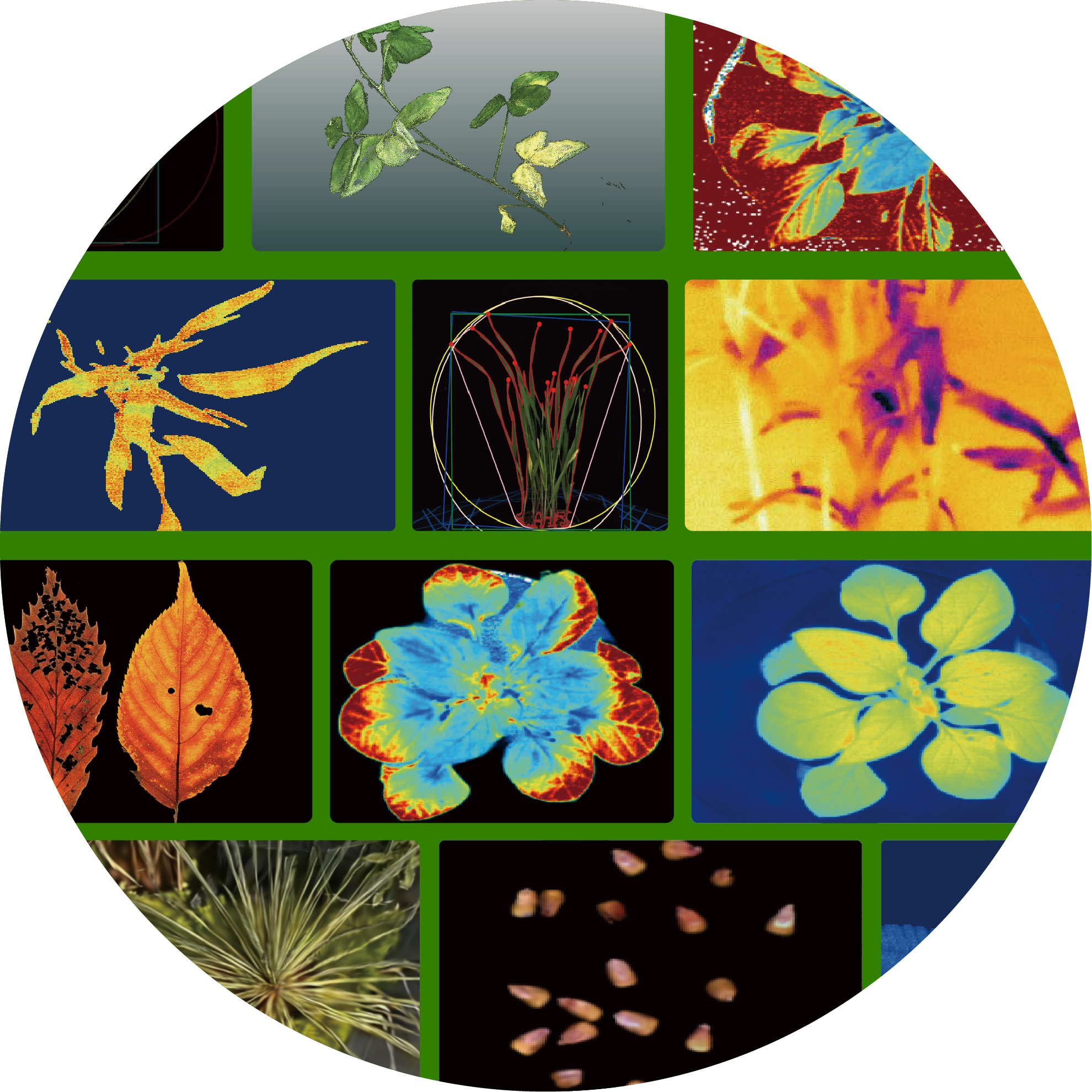 作物表型分析平臺