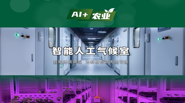 植物生長 “開掛” 神器！托普智能人工氣候室：AI 模型 + 表型分析全解析，從勘察到驗收，托普全流程閉環服務！